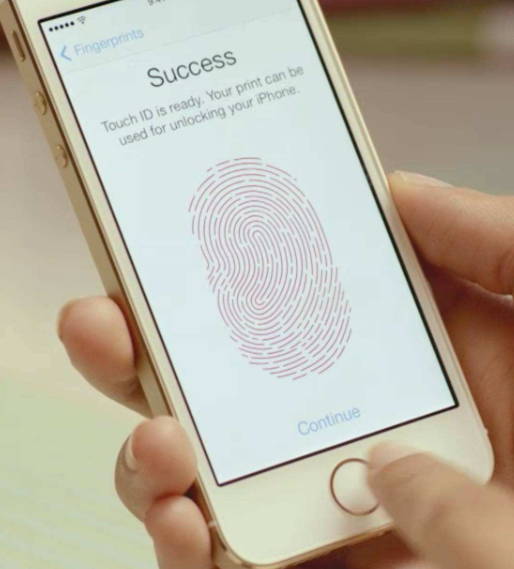 指纹识别作用有哪些？指纹识别的原理xxxx